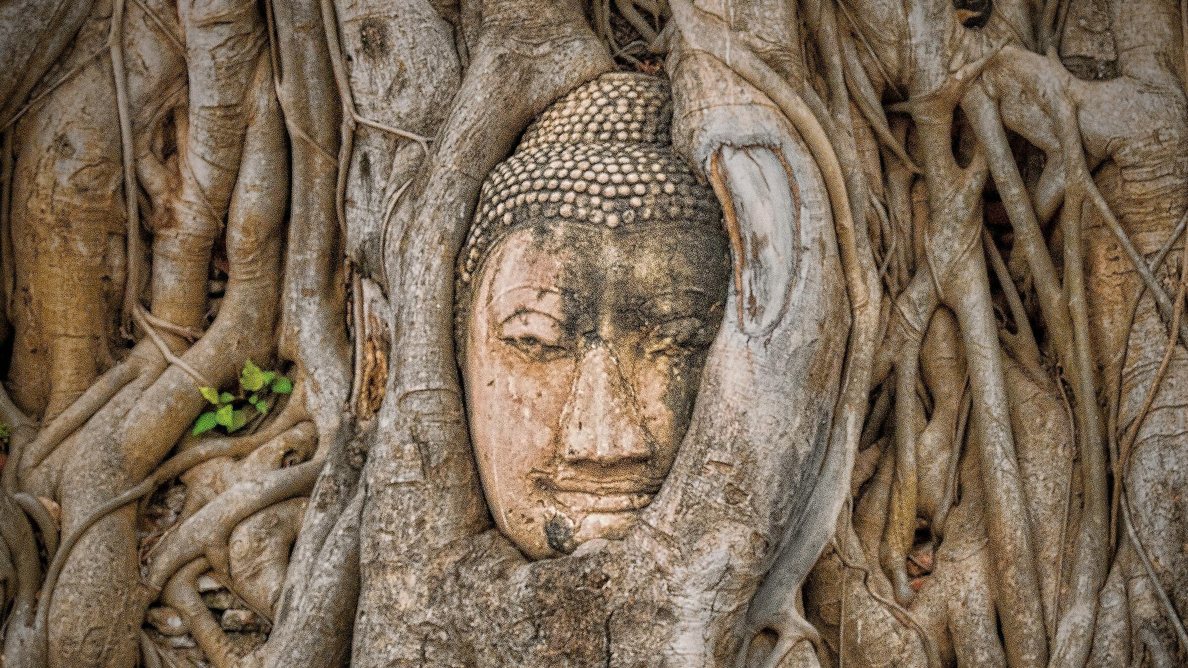 Wat Phra Mahathat Ayutthaya Thailand
