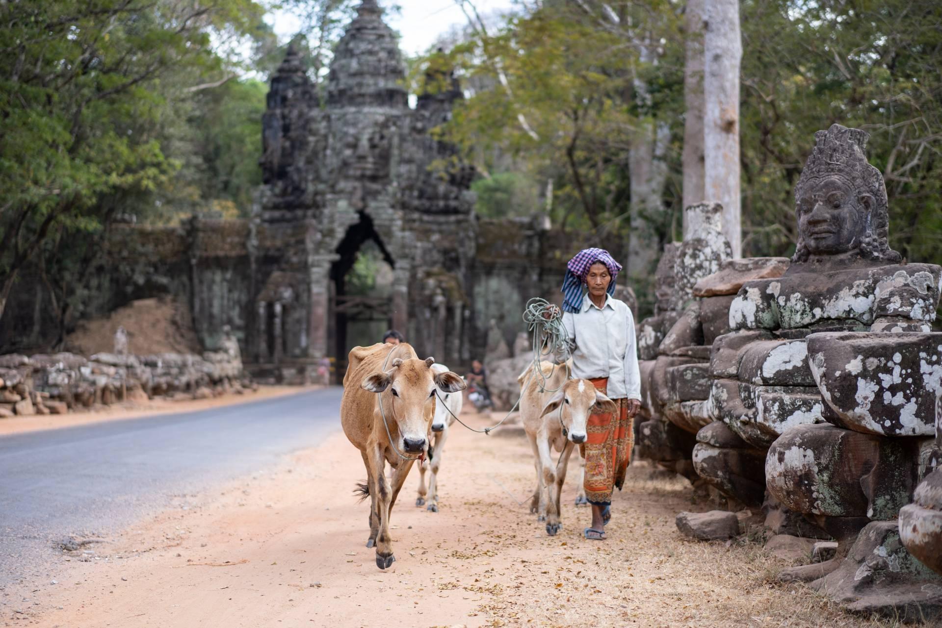 Cambodja in één rondreis 10