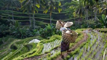 Huwelijkreis bali 2