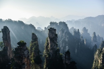 Robynne o C Rva C071 Z Xo unsplash