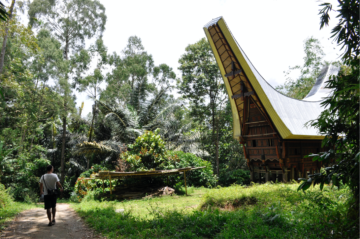 Toraja wandeling