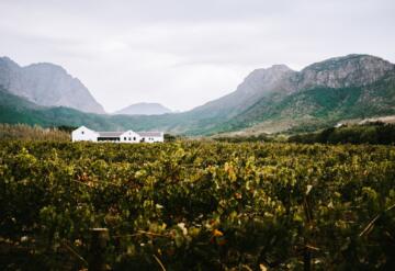 Zuid Afrika for kids 1