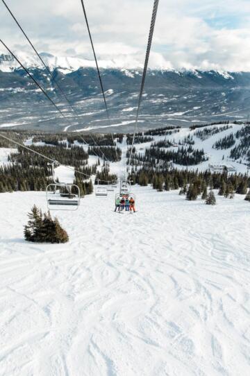 Marmot basin jasper