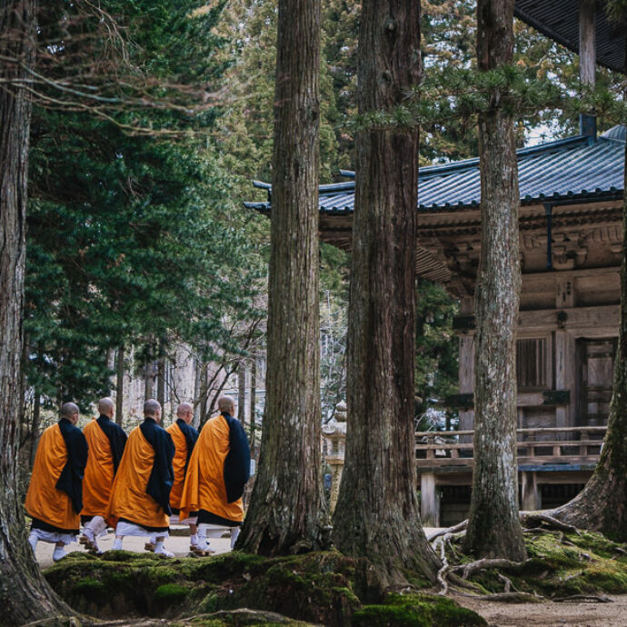 Koyasan sacred mount temple stay japan travel 16