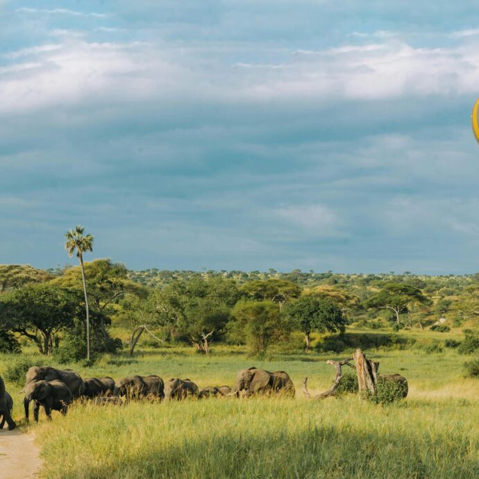 Pexels tanzania wild sky 986912744 20179671