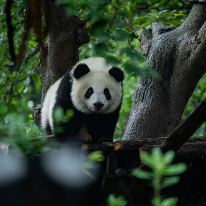 Travis chen rb H An OL5oto unsplash