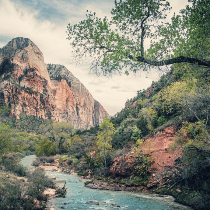 Zion national park 3 11 52