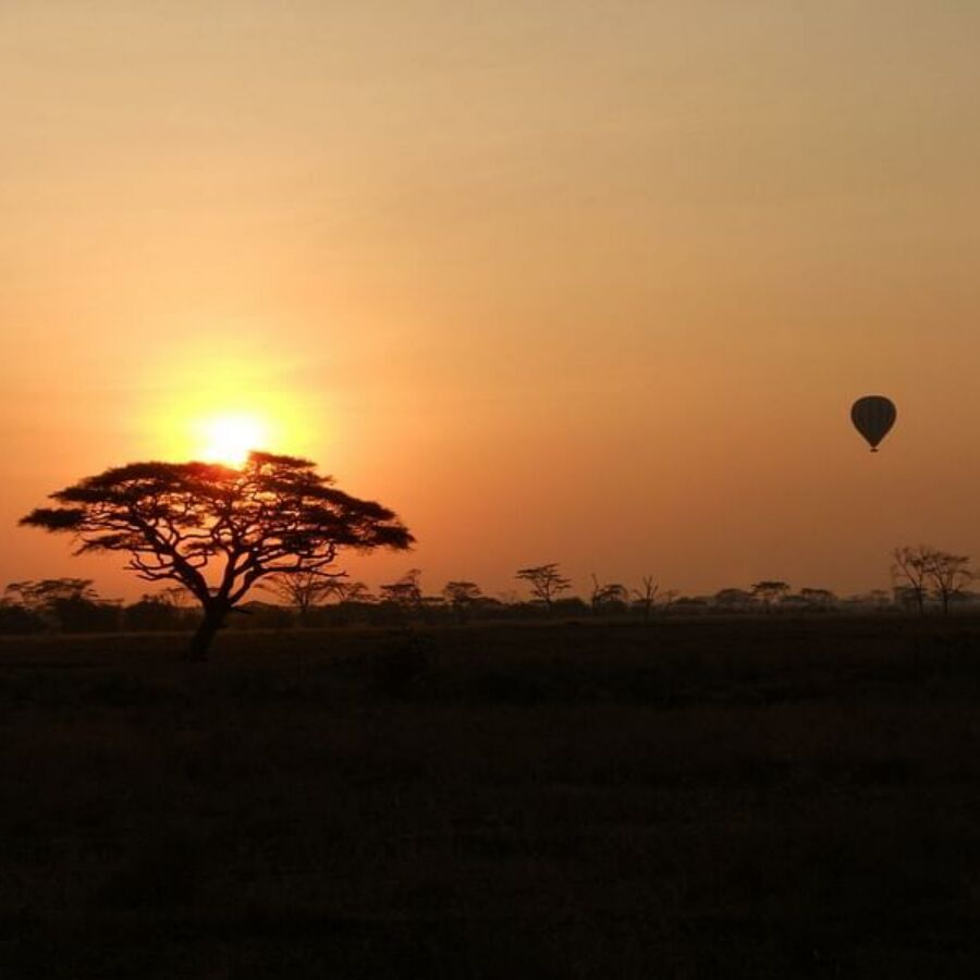 Van de Serengeti naar het witte zand
