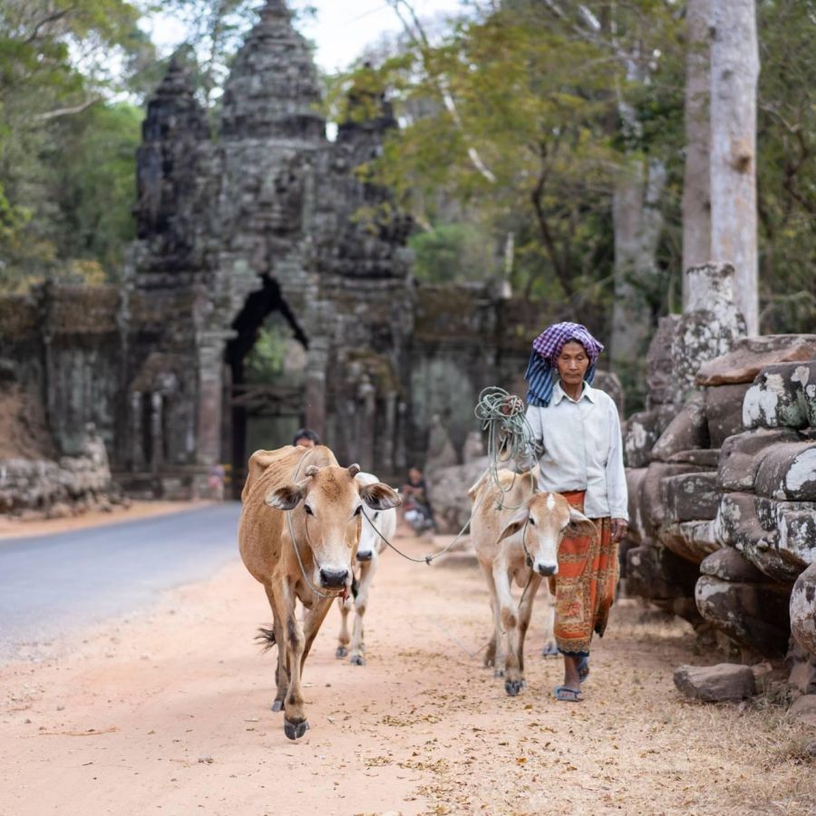 Alle hoogtepunten van Cambodja in één rondreis