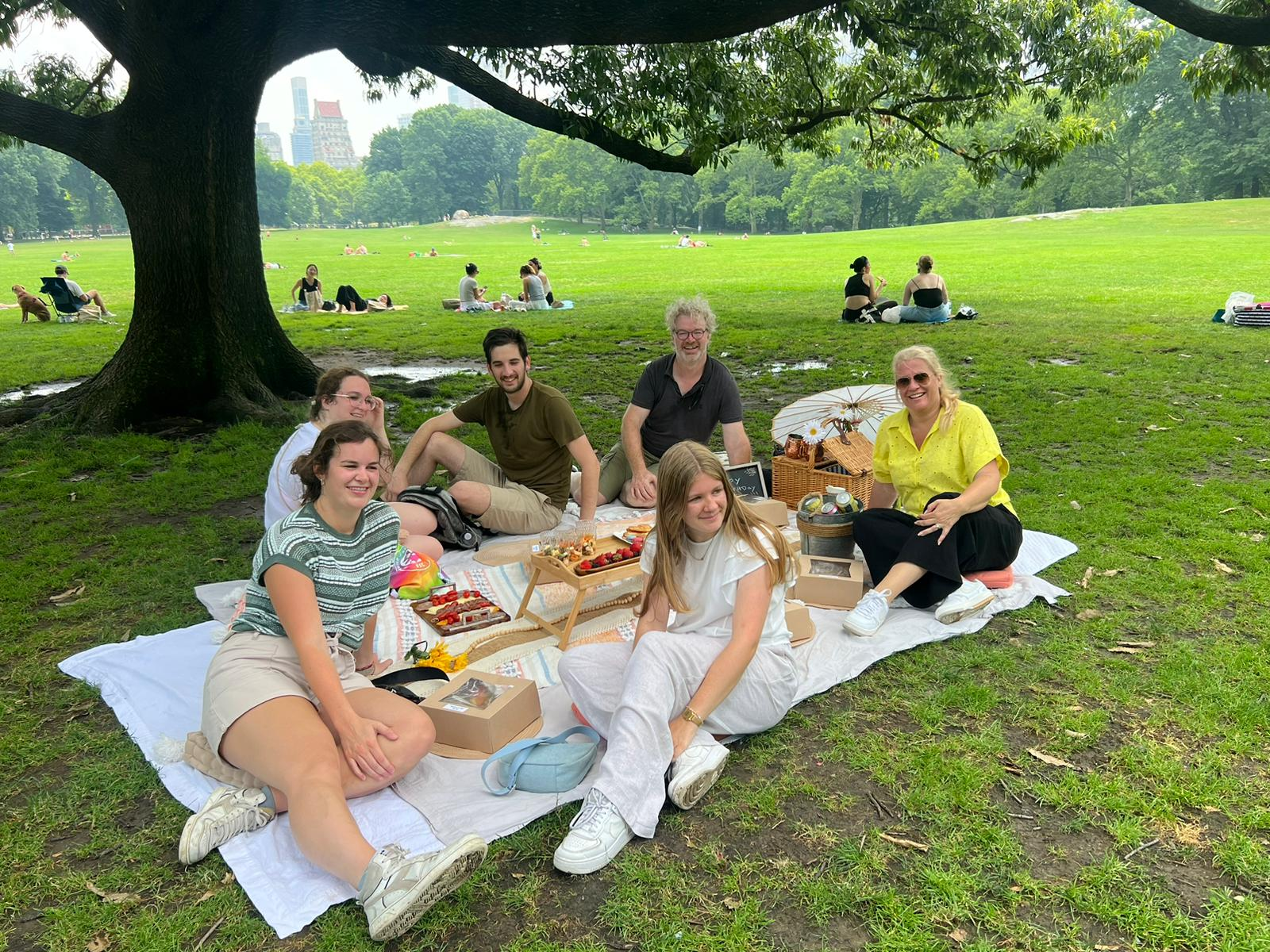 picknick in central park