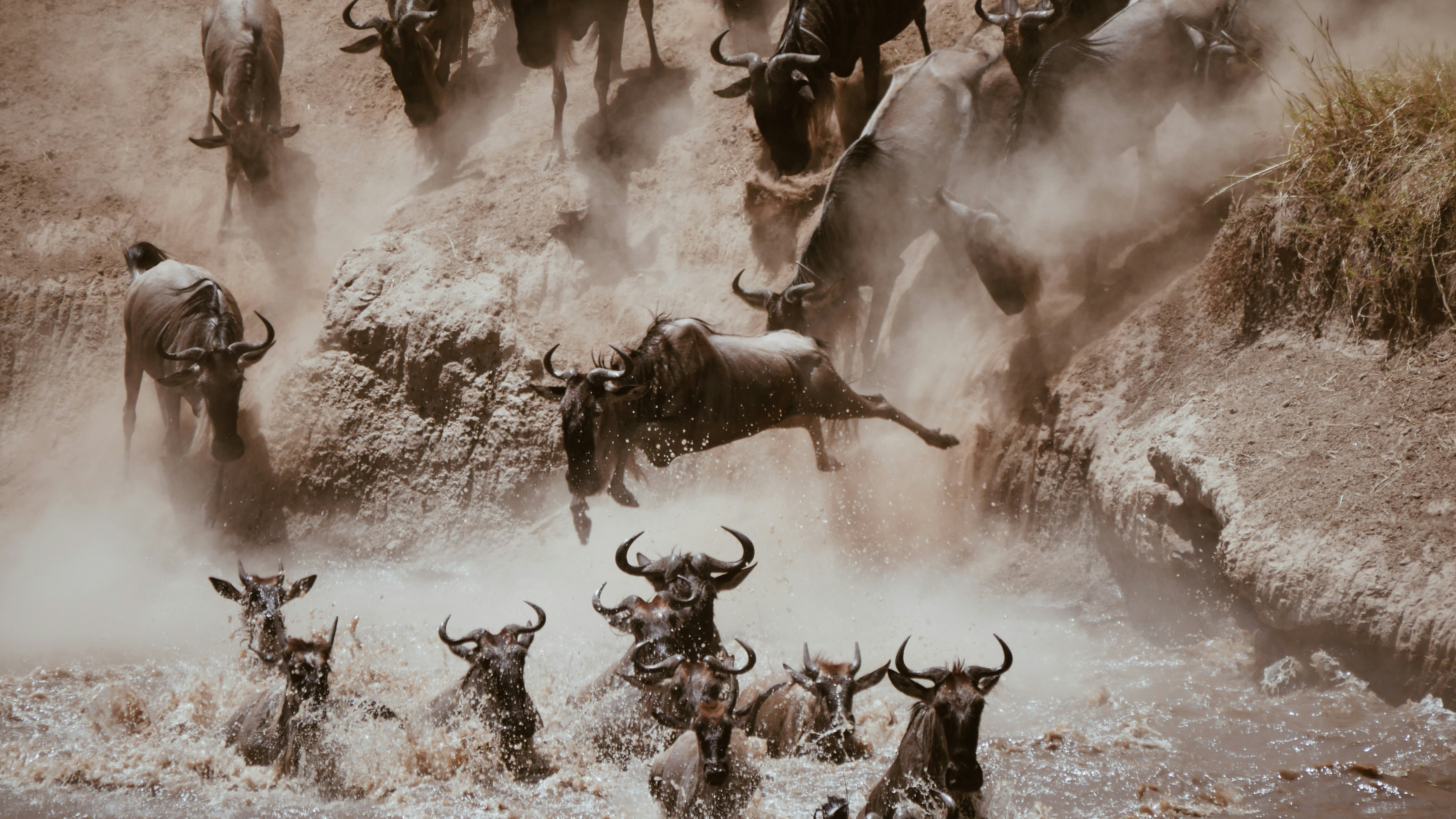 Maurits bausenhart zxe F Lnmnk Q unsplash